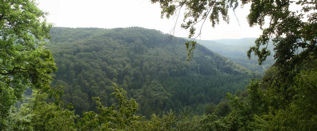 Landhotel Westerwald Ehlscheid Exteriör bild